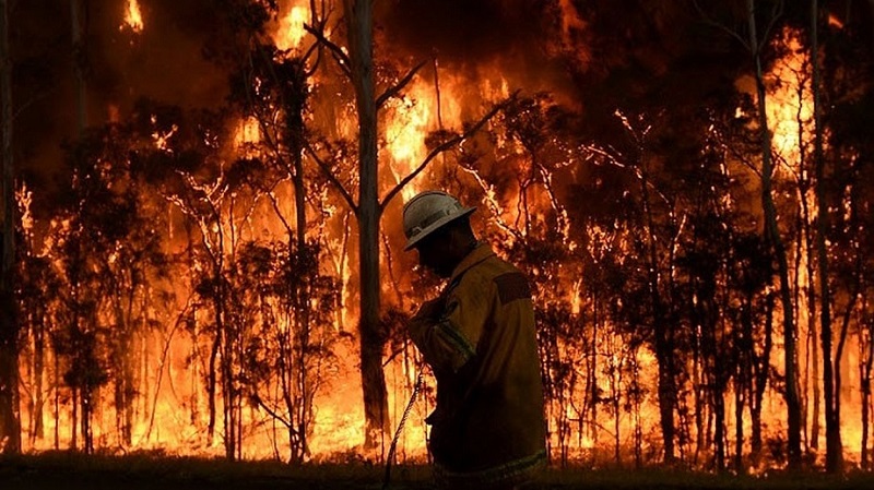 Bushfire Australia 1